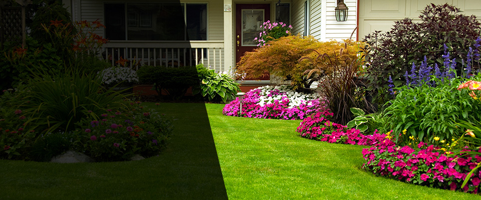 Amite Landscapers