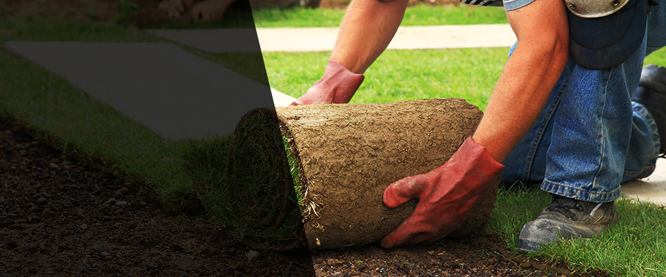 Amite Landscapers